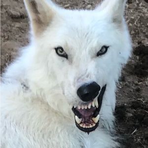 Meet your Posher, Marc